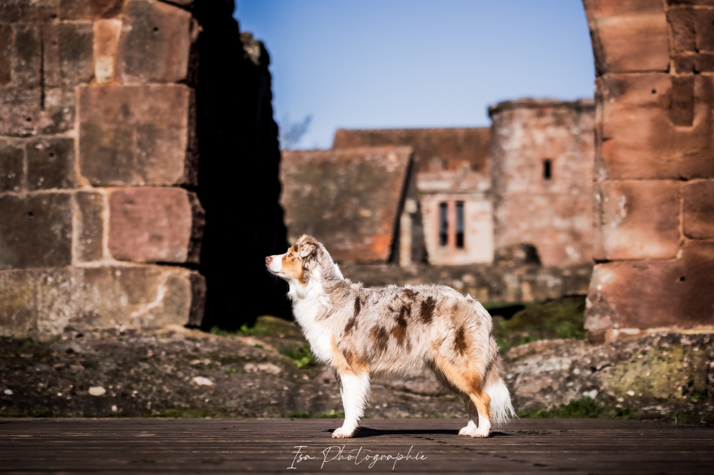 Savane Of Gold In The Heart